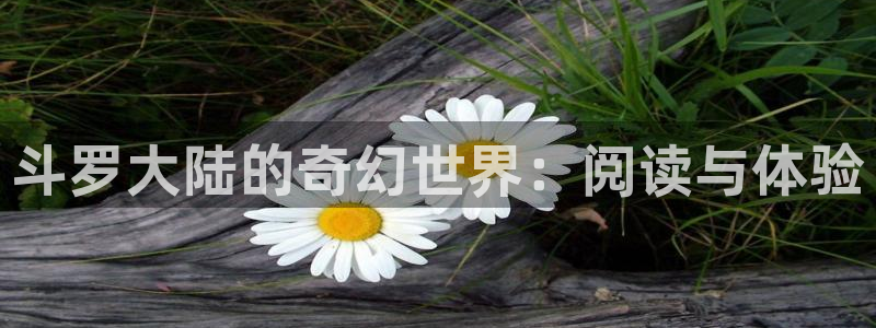 免费看腐漫