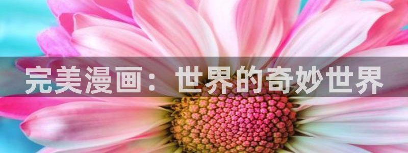 bl腐漫动漫