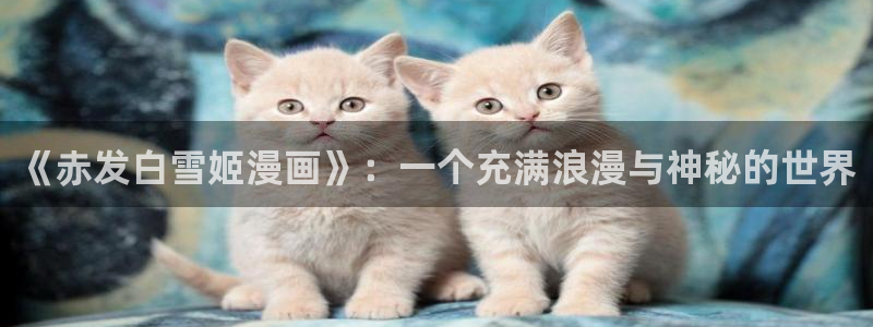 一口气看完的腐漫