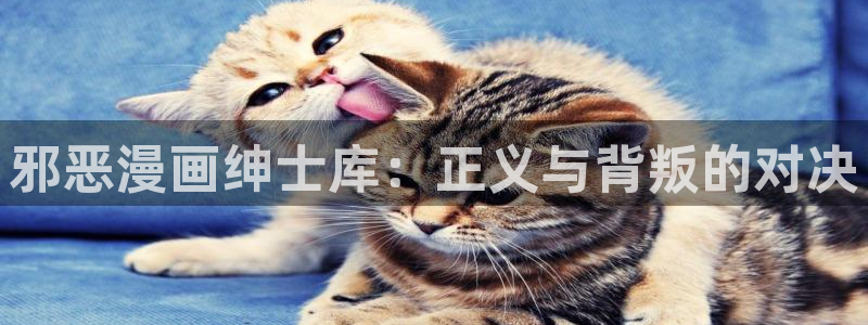 腐漫是什么