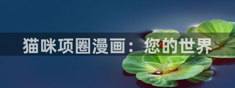 腐漫 高h：猫咪项圈漫画：您的世界