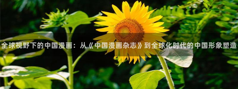 r18腐漫：全球视野下的中国漫画：从《中国漫画杂志》到全球化时代的中国形象塑造