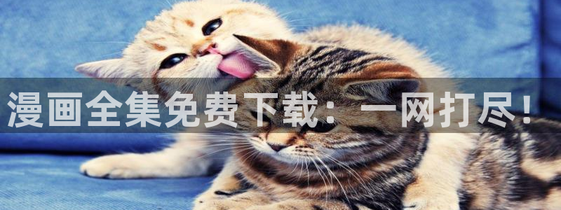 日腐漫推荐：漫画全集免费下载：一网打尽！